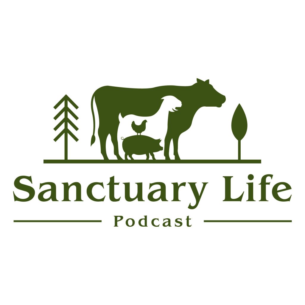 945_Sanctuary_Life_Podcast__HV_Small7r1it