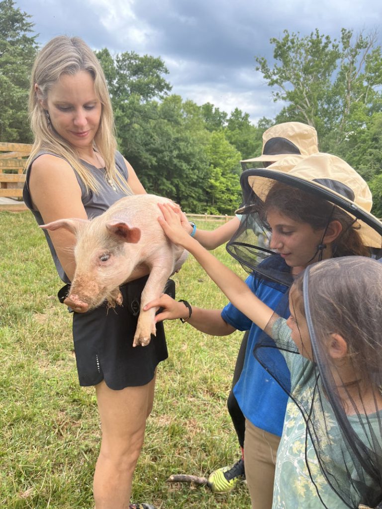 visit-rosie-s-farm-sanctuary